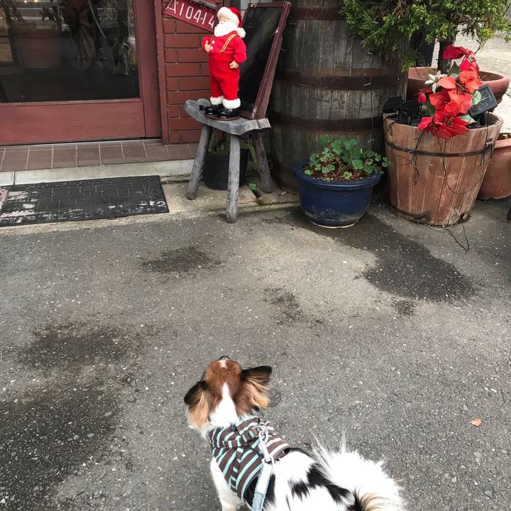 Cb151c1a e676 47a5 b9a7 1fac6a86533f 1545534229669