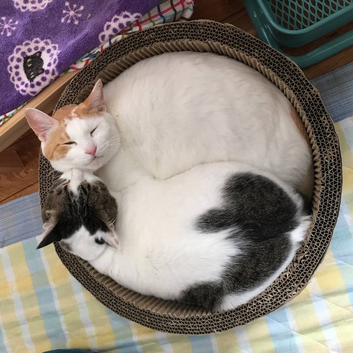 Cb1533ab 465a 4204 b9cc 3150e84525f4 1534665294800