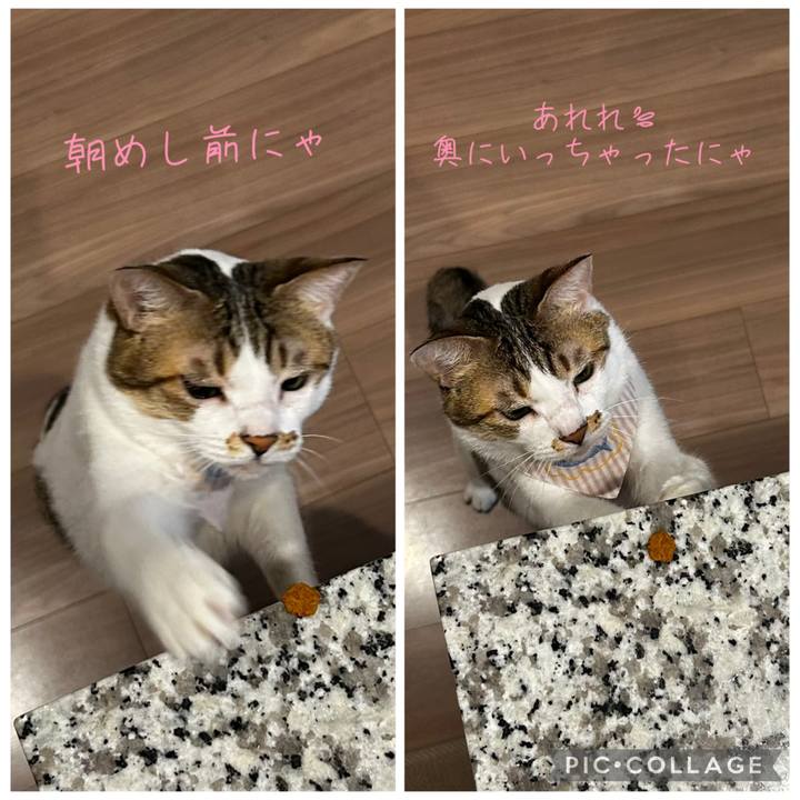 Cb1534d9 40cf 4e0f b145 98bceb7bbd52 1759183052613