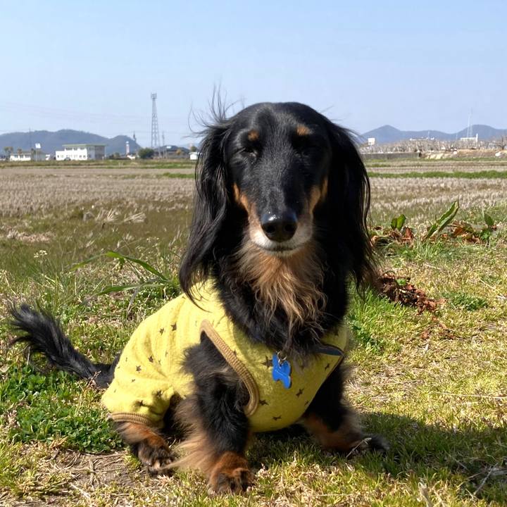 Cb155595 4515 41a4 832b 896a0ac2ac15 1710509424873