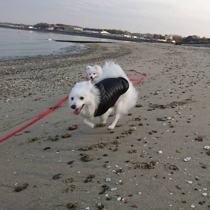 Cb1556df f307 462c 8fbc e0f6804156d1 1551007422350