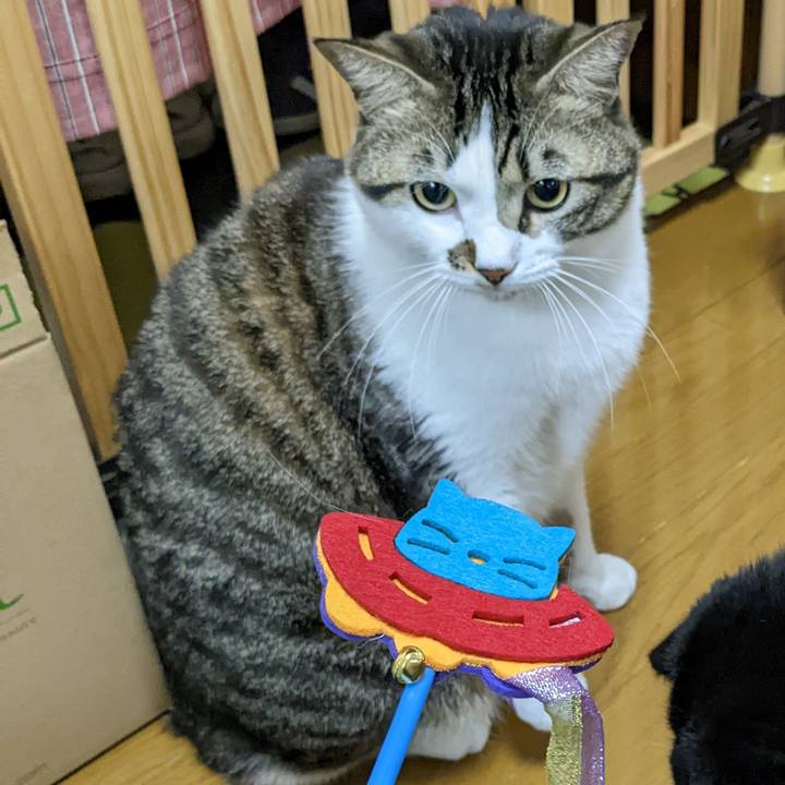 Cb156740 cc23 43fc a49f d78e34591fd3 1669118668221