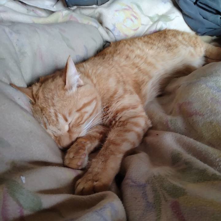 Cb1569c7 e56a 4ee7 8d5c 993ff822732e 1684647595684