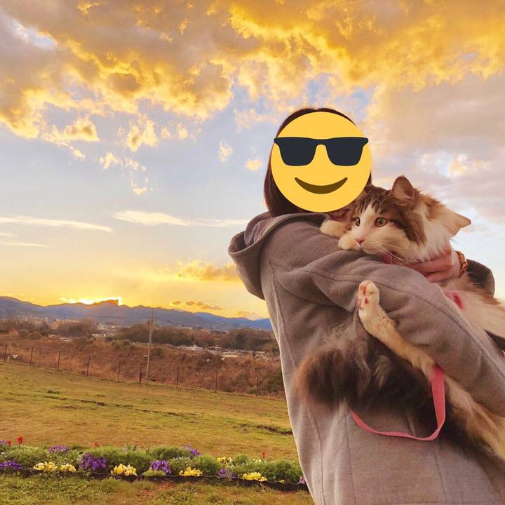 Cb1573ff 91f7 4b2f 8755 2192501bac62 1554030762467