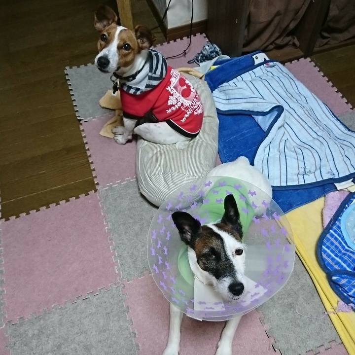 Cb159632 6199 4af6 b733 da6ee117c8e1 1538262931268