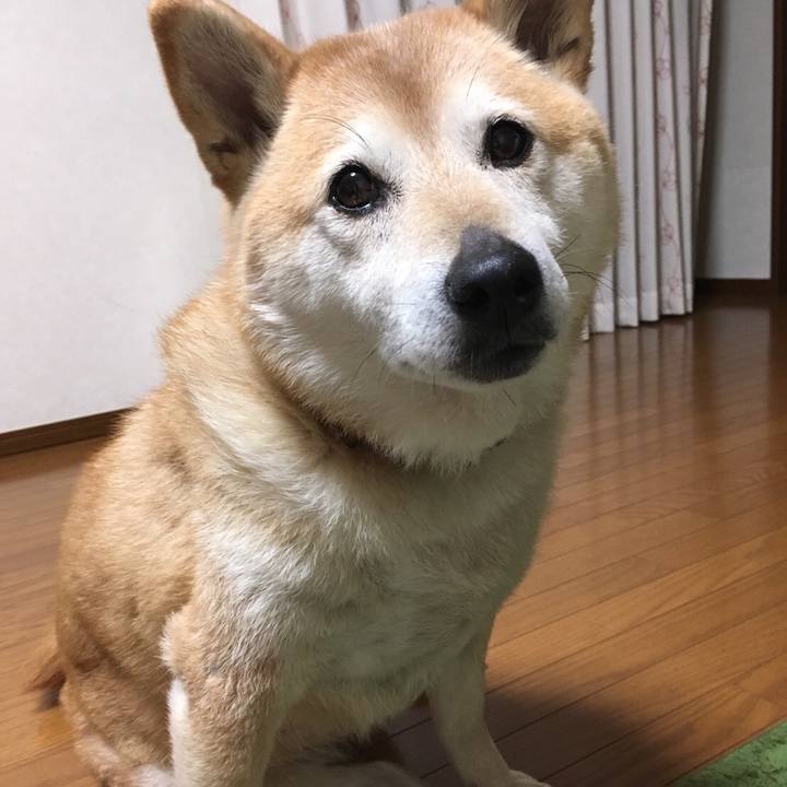 Cb159e8c e29a 49ab 8cbf 3e91e4922139 1524572081775