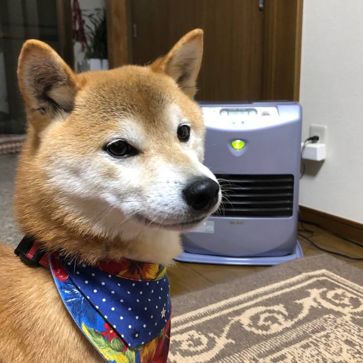 Cb15cae0 0813 44f0 8932 af99c4d32b77 1544441121971