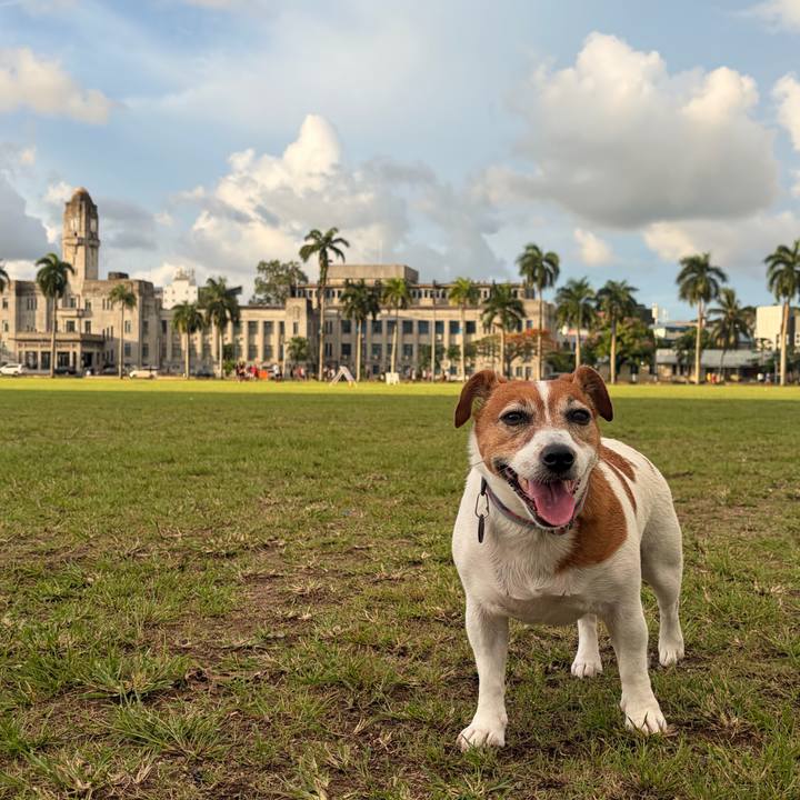 Cb161607 304f 4062 8441 fe60f0cea3ac 1766479702195