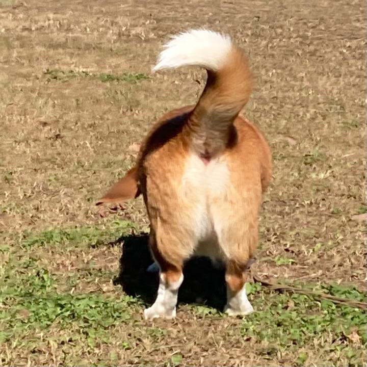 Cb168117 ccd5 47f1 b86d 3dcfe9f703a3 1666325376294