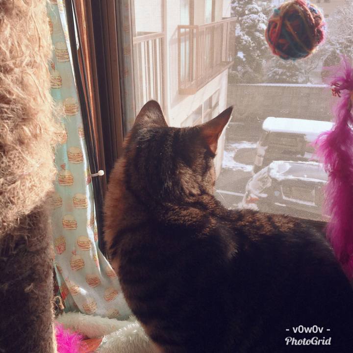 Cb1681d2 008b 4b5a 82fb fc91bc844f2e 1544314235673