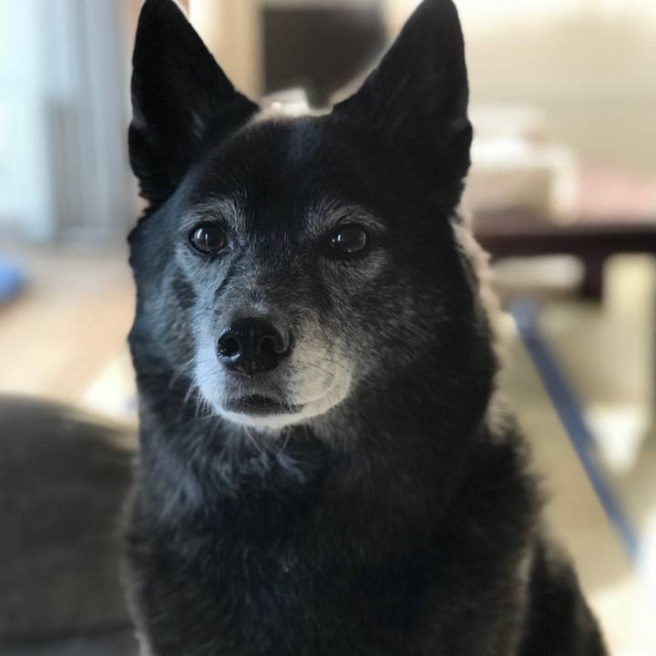 Cb16a5b6 ea5c 47ed 968c 4f7302a0e8e4 1583924507982