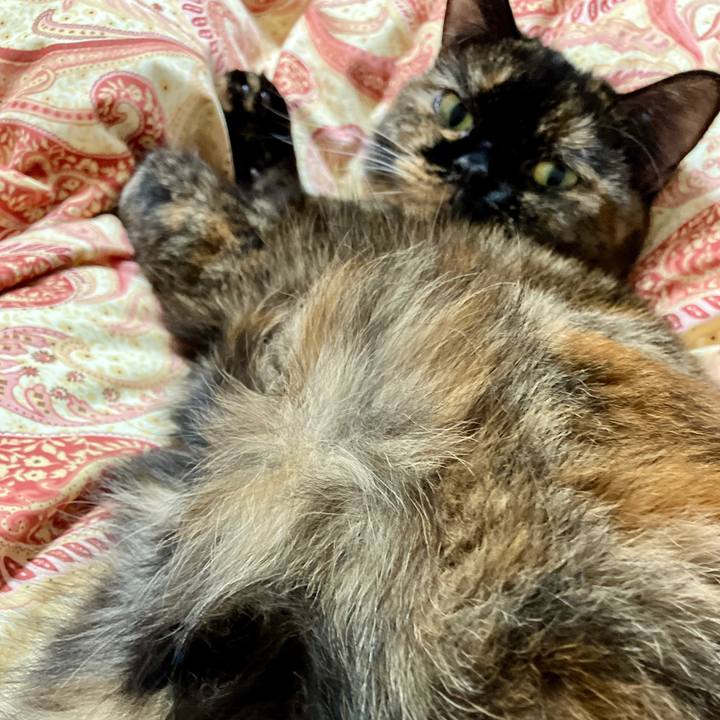 Cb16a8be f0a5 497c a106 d7a3a173fe20 1760790824519