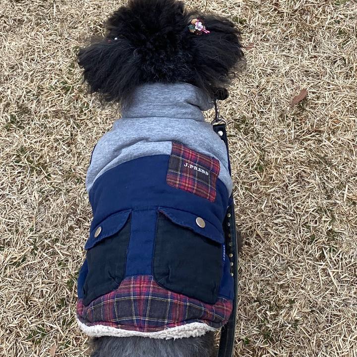 Cb16a9c4 aa0a 49da 927e 897f6603cea7 1580095004454