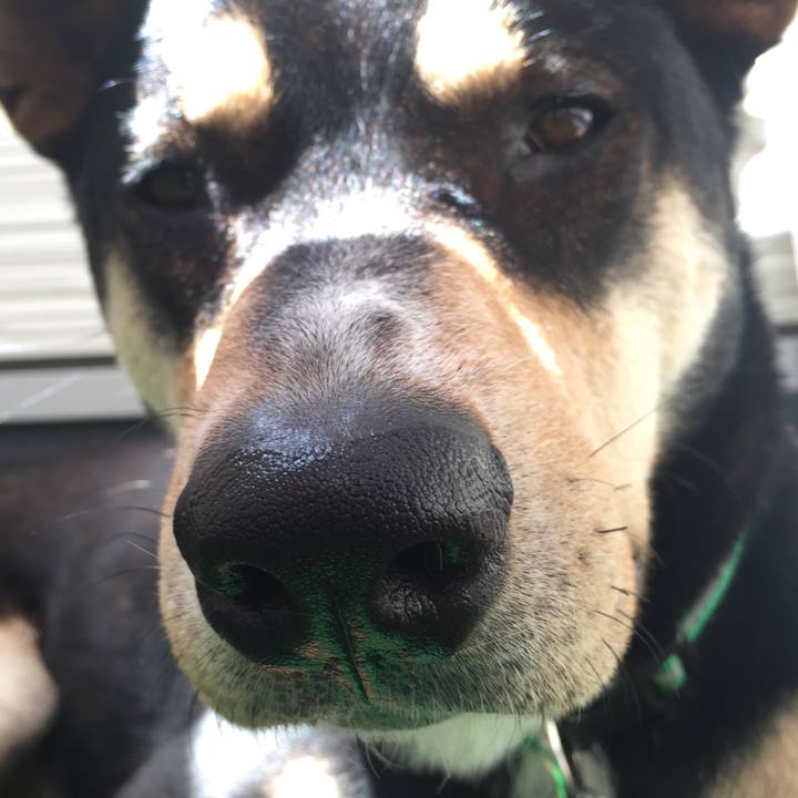 Cb16e7a0 8eef 4ec3 9e4c 06da6b313752 1524023434299