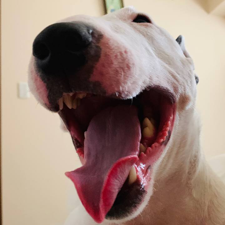 Cb172c37 5274 424a b8f7 0a9fcf7c0a5f 1566282516138