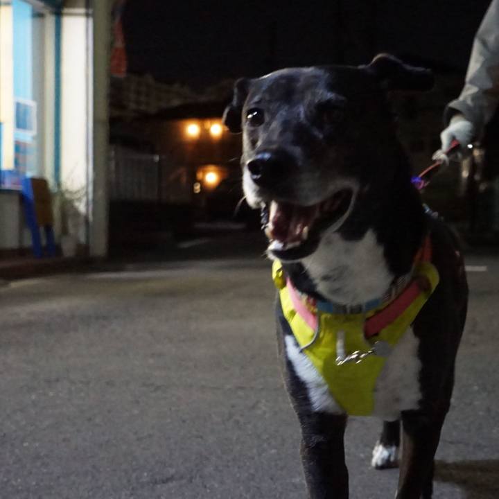 Cb17648e 491f 479c 8e53 f599d4707197 1772276986251