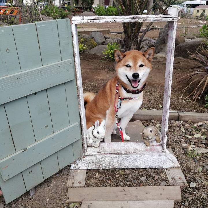 Cb177119 514c 4533 b8c9 2f10382265b3 1680504210765