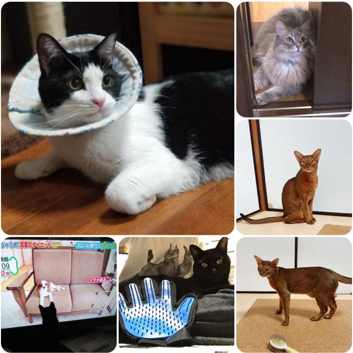 Cb177ded 1f20 474e b371 66ccf1b6e80b 1568893398609