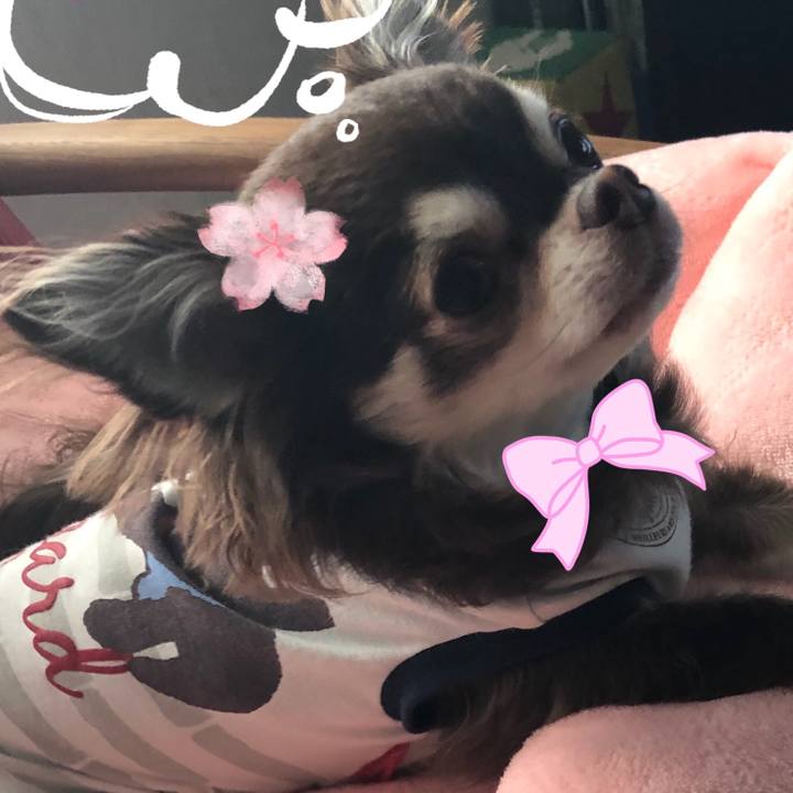 Cb17a394 0bfe 474f 9a61 e553ed8326a1 1522894870736