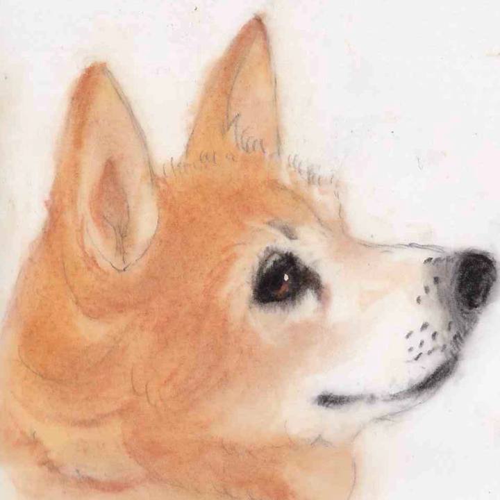 Cb17a3c6 95e7 4fa4 94db ca8ef4e2658f 1647135207110