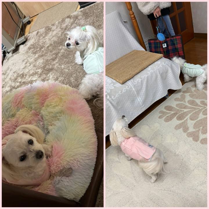 Cb17c2c0 f930 4776 9da0 89b648aac379 1770887363538