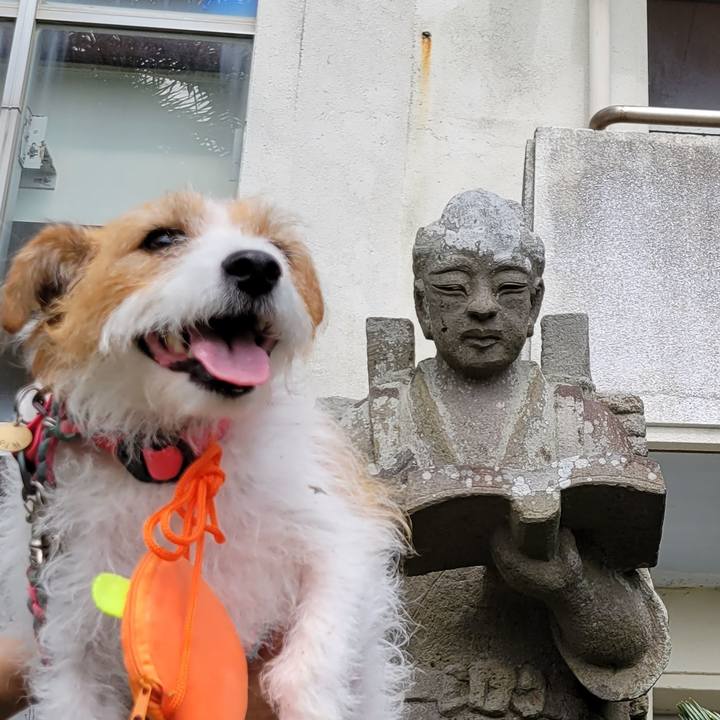 Cb17e7e3 6370 4d33 a132 535f78c9e6db 1666513355525