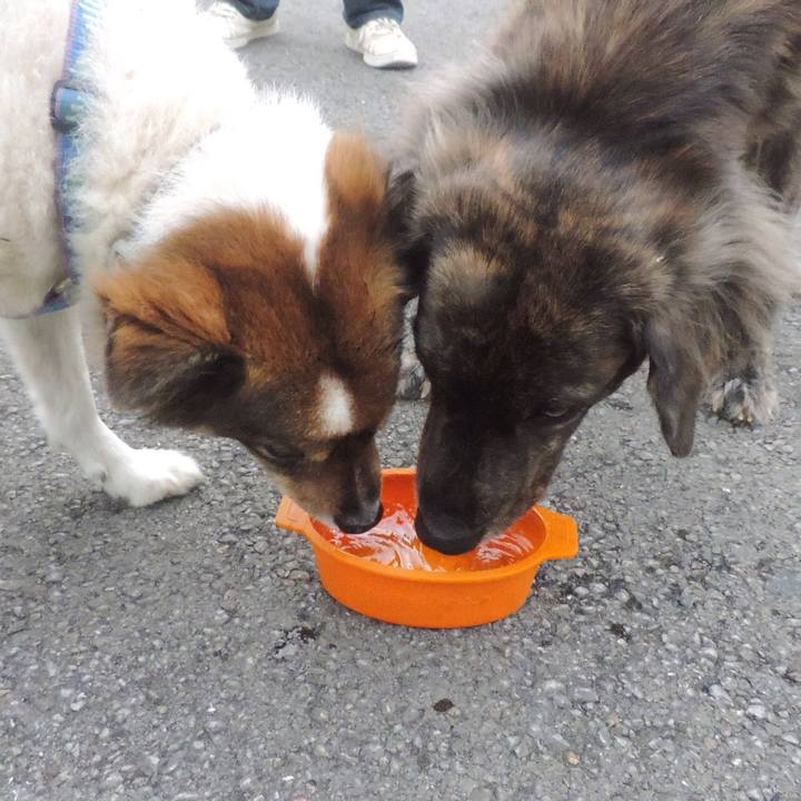 Cb1813c9 9972 4610 84dc 6a707c81128b 1510321132782