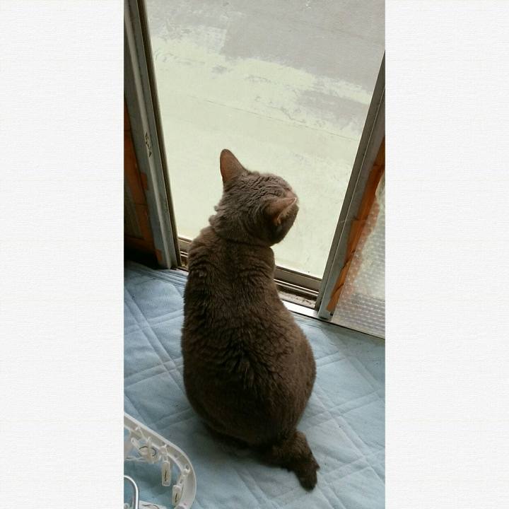 Cb18208e a9c0 42ca b58a 9d1bc6e74a6d 1598834392237