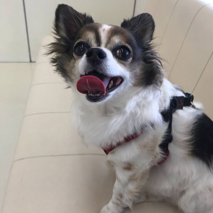 Cb184e1f e3b9 4e9b 9b79 31254a385692 1652233295158