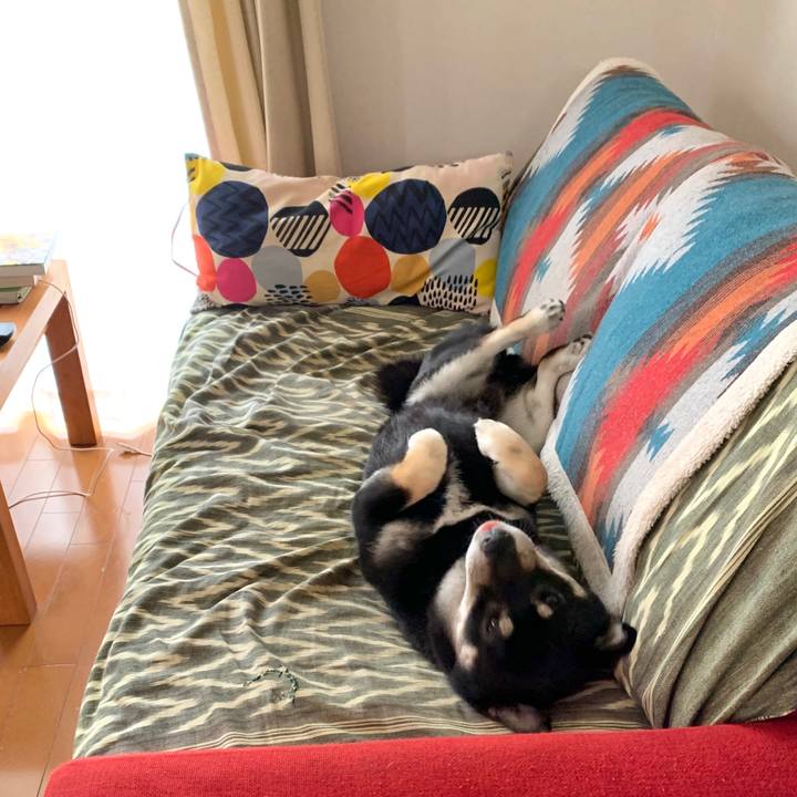 Cb18665a 1617 47c5 9d41 910a79056e55 1585716859146