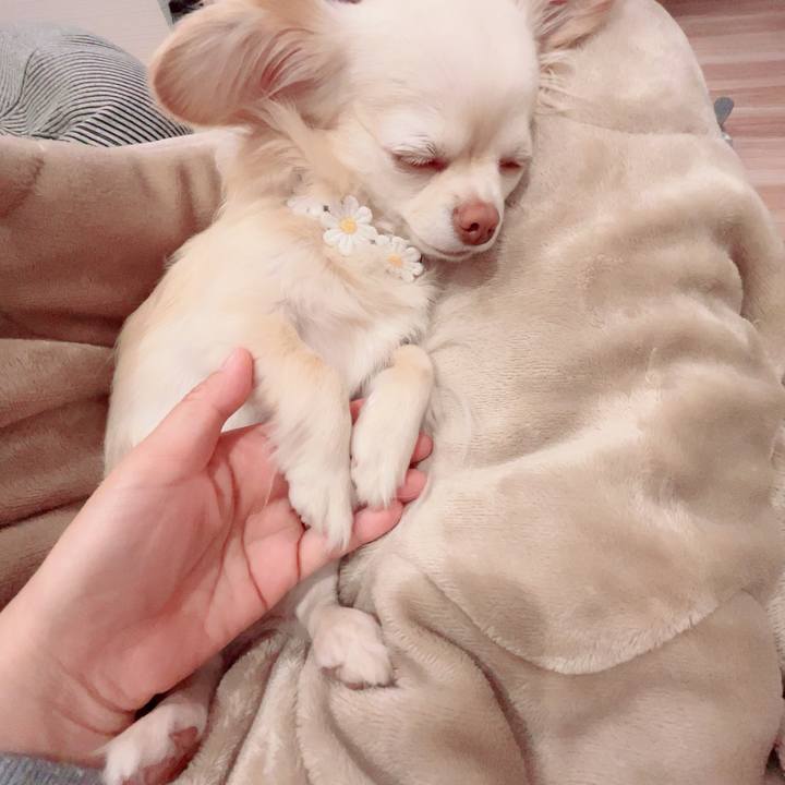 Cb186e1a d6f0 4a6e 9cf2 f9db965c6241 1712587012656