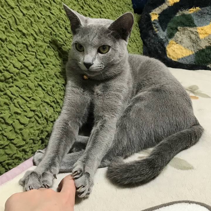 Cb187dc3 a44b 47bf ac81 2686e1d086e7 1517064269472