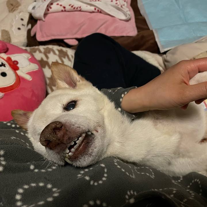 Cb1882bd bb8c 4dab 8b0c 8bd4d222a0b3 1677088994954