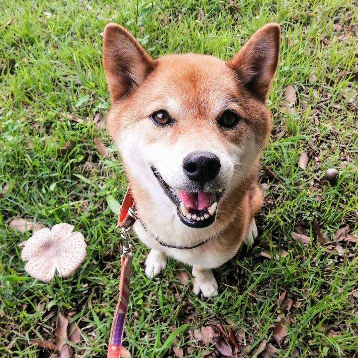 Cb1882ea 1d59 445e a63f aa06997dc16a 1594194246144