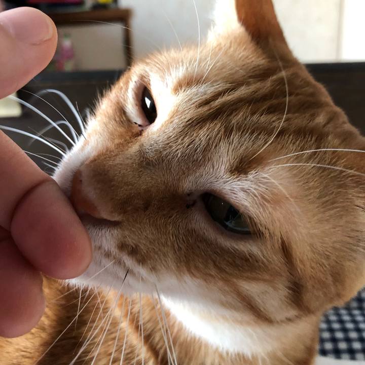 Cb189ad6 f43c 4a32 8e31 ea4730cb82b1 1574461007682