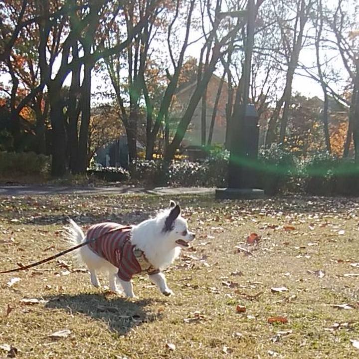 Cb18a8de bdc4 4a51 abae 378aac17ac08 1512298827502