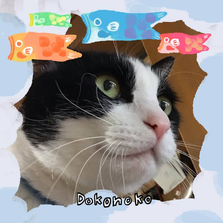 Cb19099a df7f 429d ab13 9fa6f692b130 1749281531918