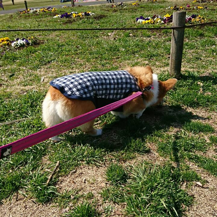 Cb1913f2 89f6 4aca bc57 98f06bd3a626 1552104082049