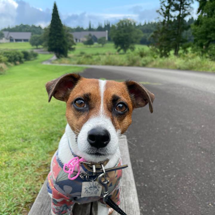 Cb195aeb 78fd 49f4 acd2 253e99580f8c 1630391413632