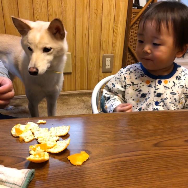 Cb199685 7d7f 4c34 bd4f 2c716ba71acc 1540625463780