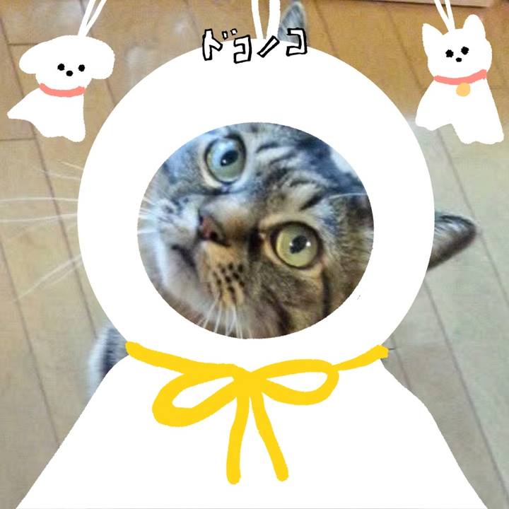 Cb199c89 7e99 4d77 84d1 149ed98e82cf 1781845366379