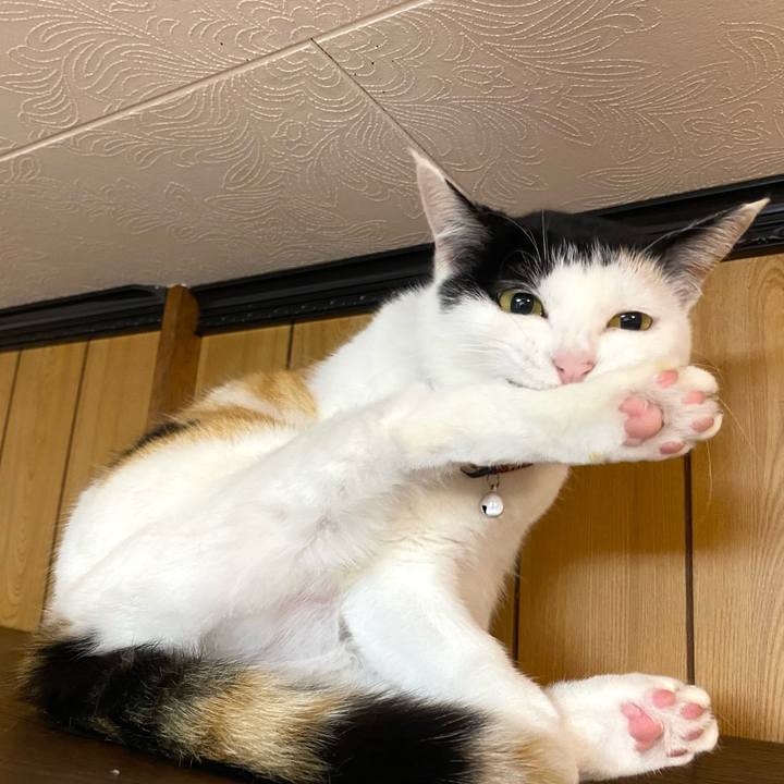 Cb19a455 2255 4c91 a514 cf4afd0c7bf7 1652647994796