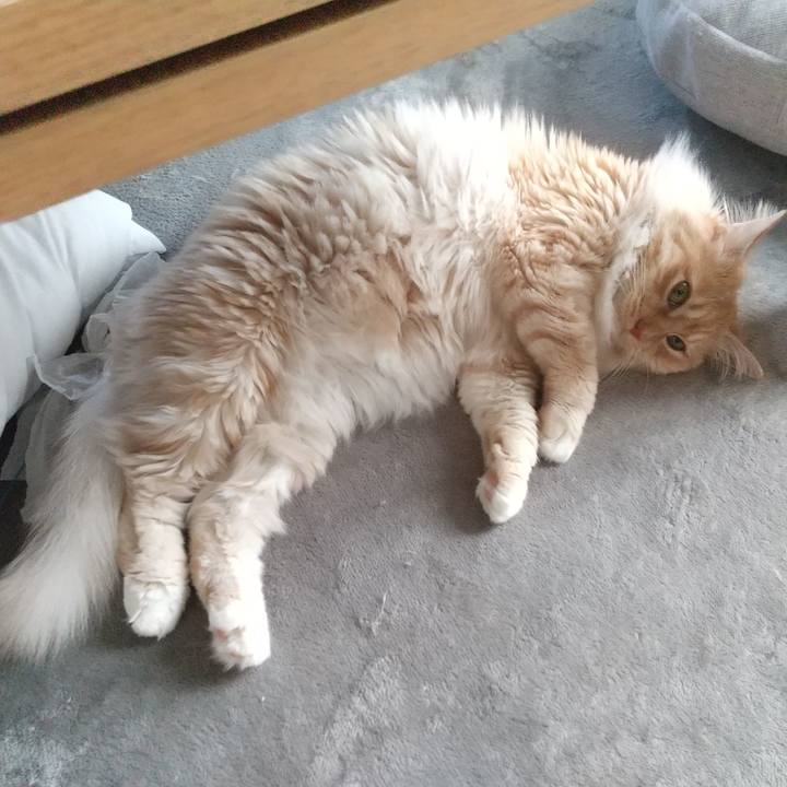 Cb19f192 db6e 4cb8 8e16 92dec6dff1d9 1650700655446