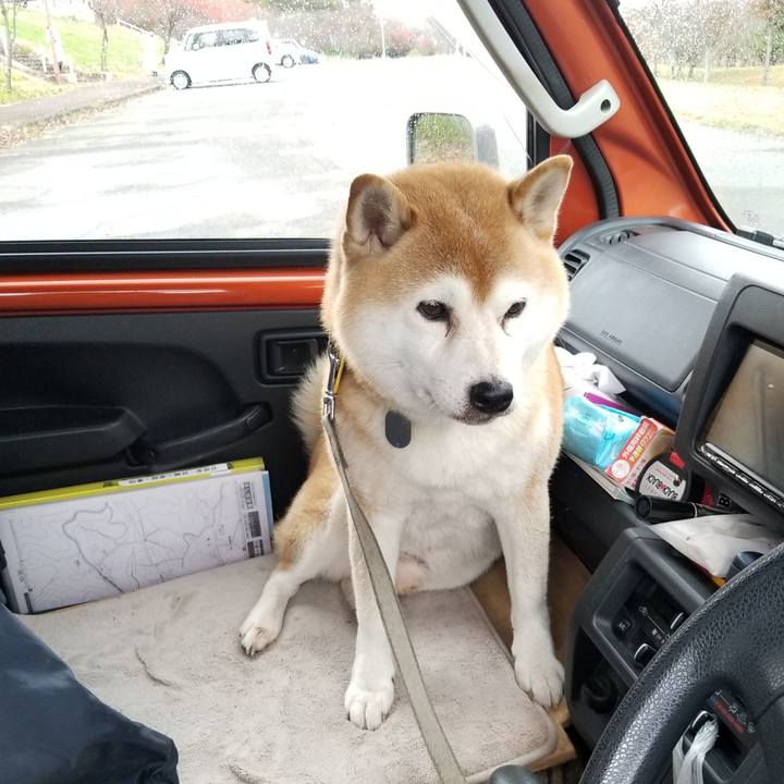 Cb1a117e 87ef 4efc be08 cb32f086c56d 1635918904132