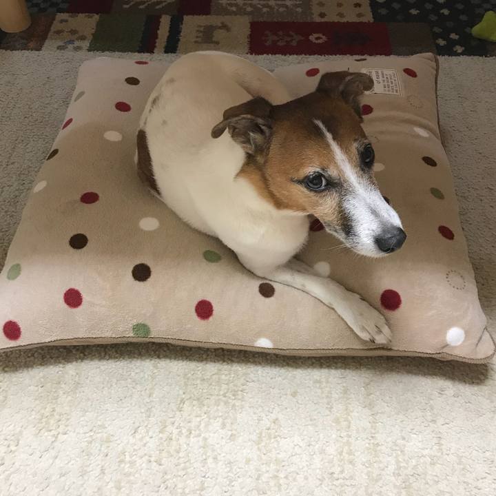 Cb1a26aa 741e 4688 90d2 4e302a5f9d19 1508750806848