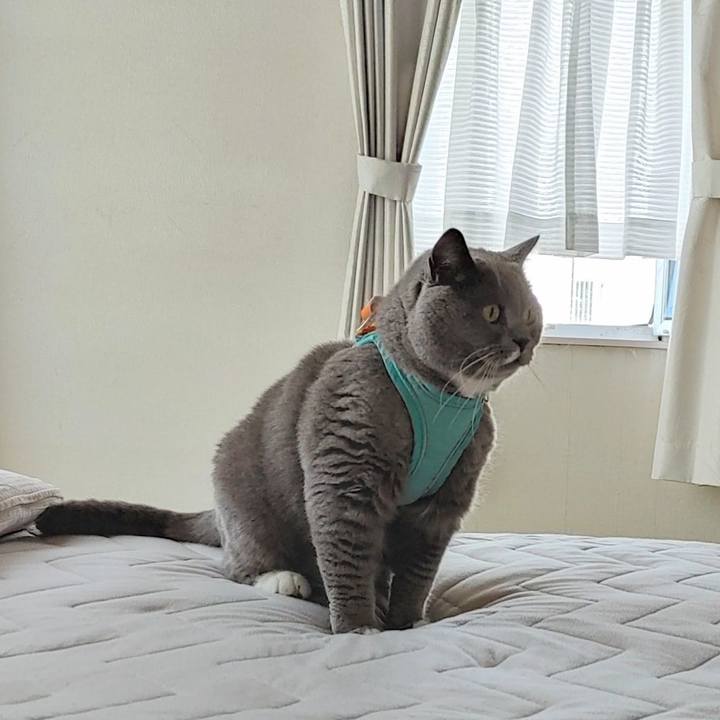 Cb1a3647 bfc9 4b6c 8174 8380ce9c1fca 1656028390857