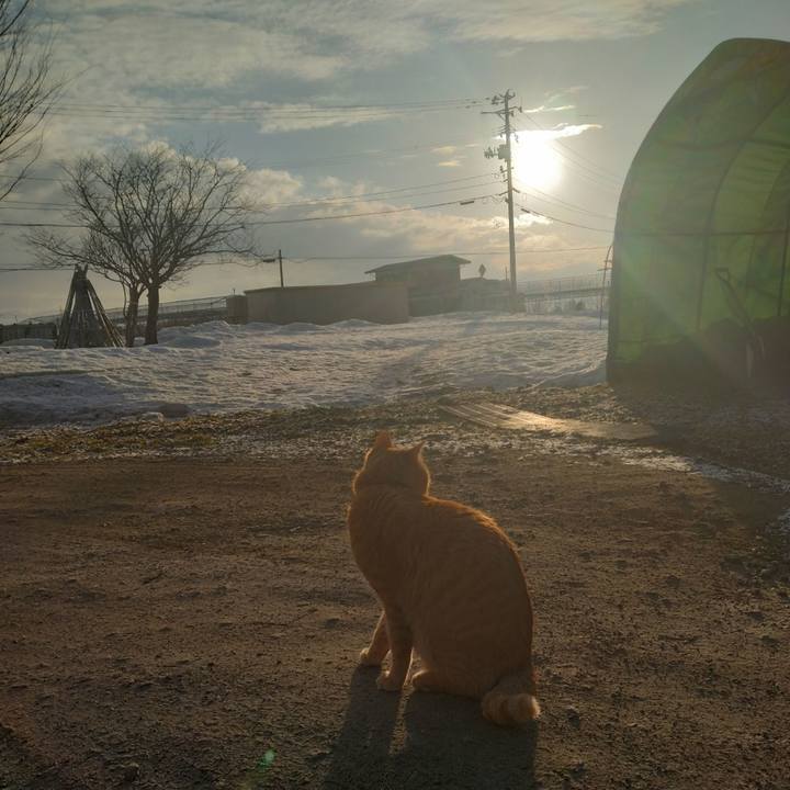 Cb1a534a 56c3 4f00 a34e 9b3636039f01 1677797138096