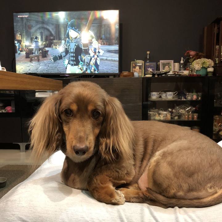 Cb1a5e84 8313 4632 ab9c 5cd5579d89de 1685199082073