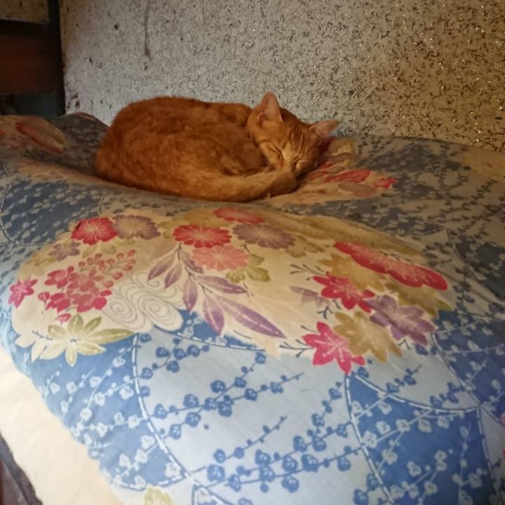 Cb1a63f9 6d22 4053 b96a 5cfaf87da0ca 1593641052966