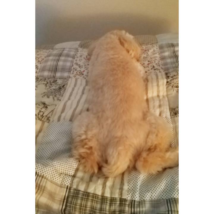 Cb1a9892 24d6 464b 9a23 b07ff237cb54 1626864242542